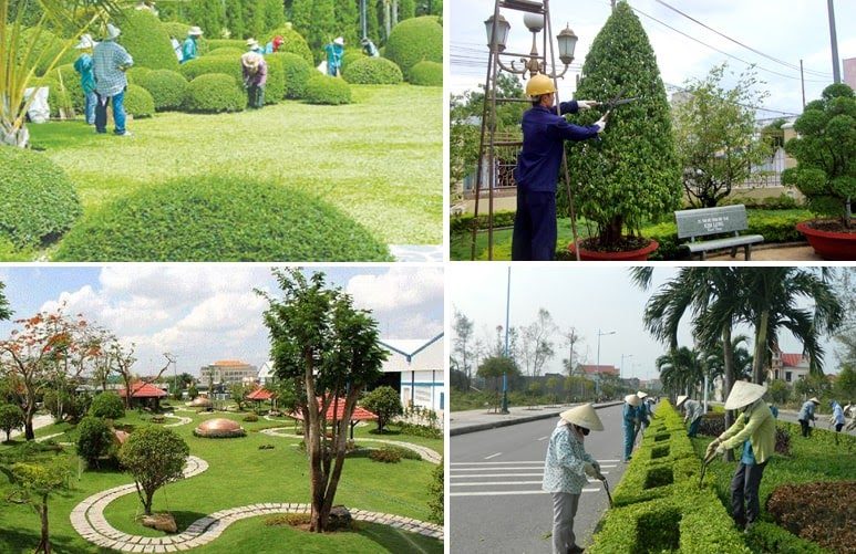 Bảo Dưỡng Cảnh Quan