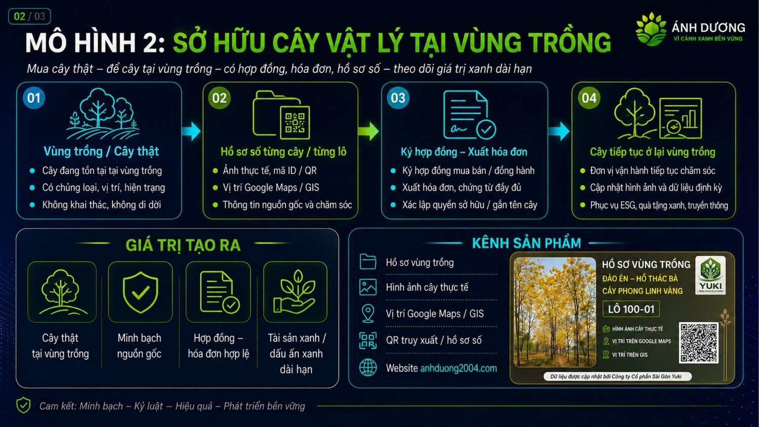 Infographic - Sở Hữu Cây Vật Lý Tại Vùng Trồng