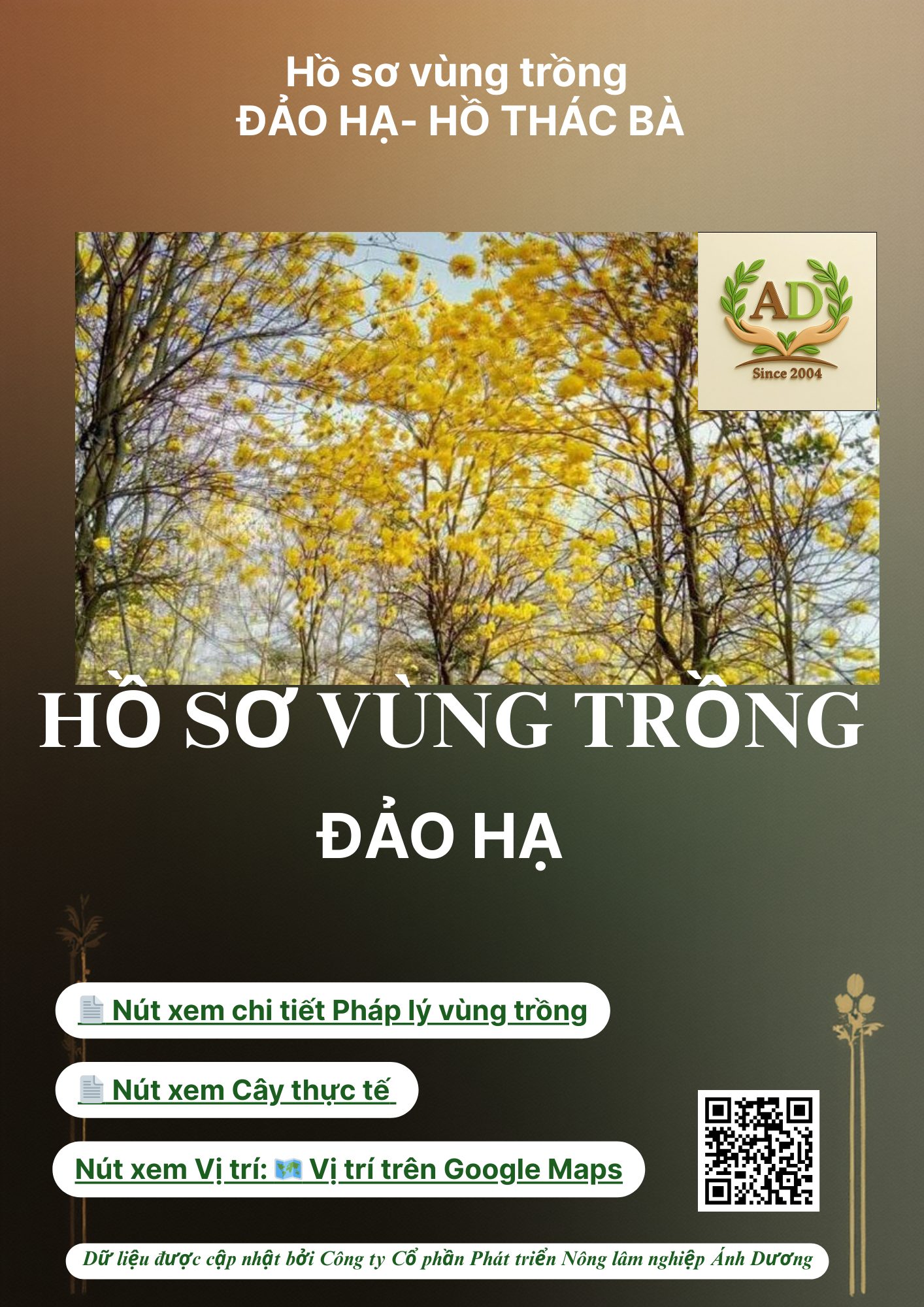 Hồ sơ vùng trồng Đảo Hạ