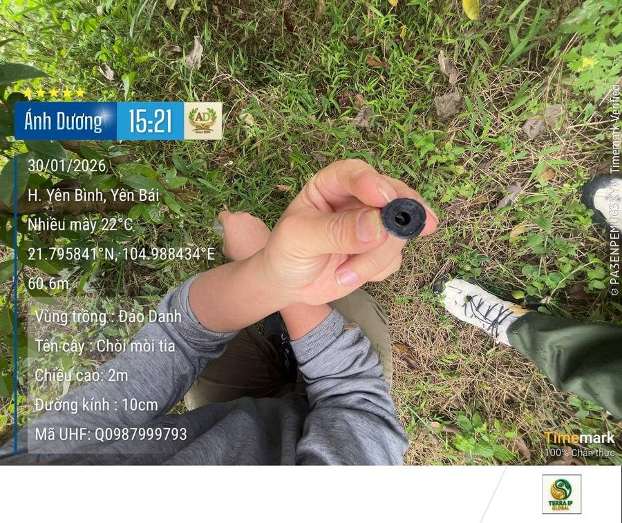 Khảo sát thực địa Yên Bái - Timemark xác thực