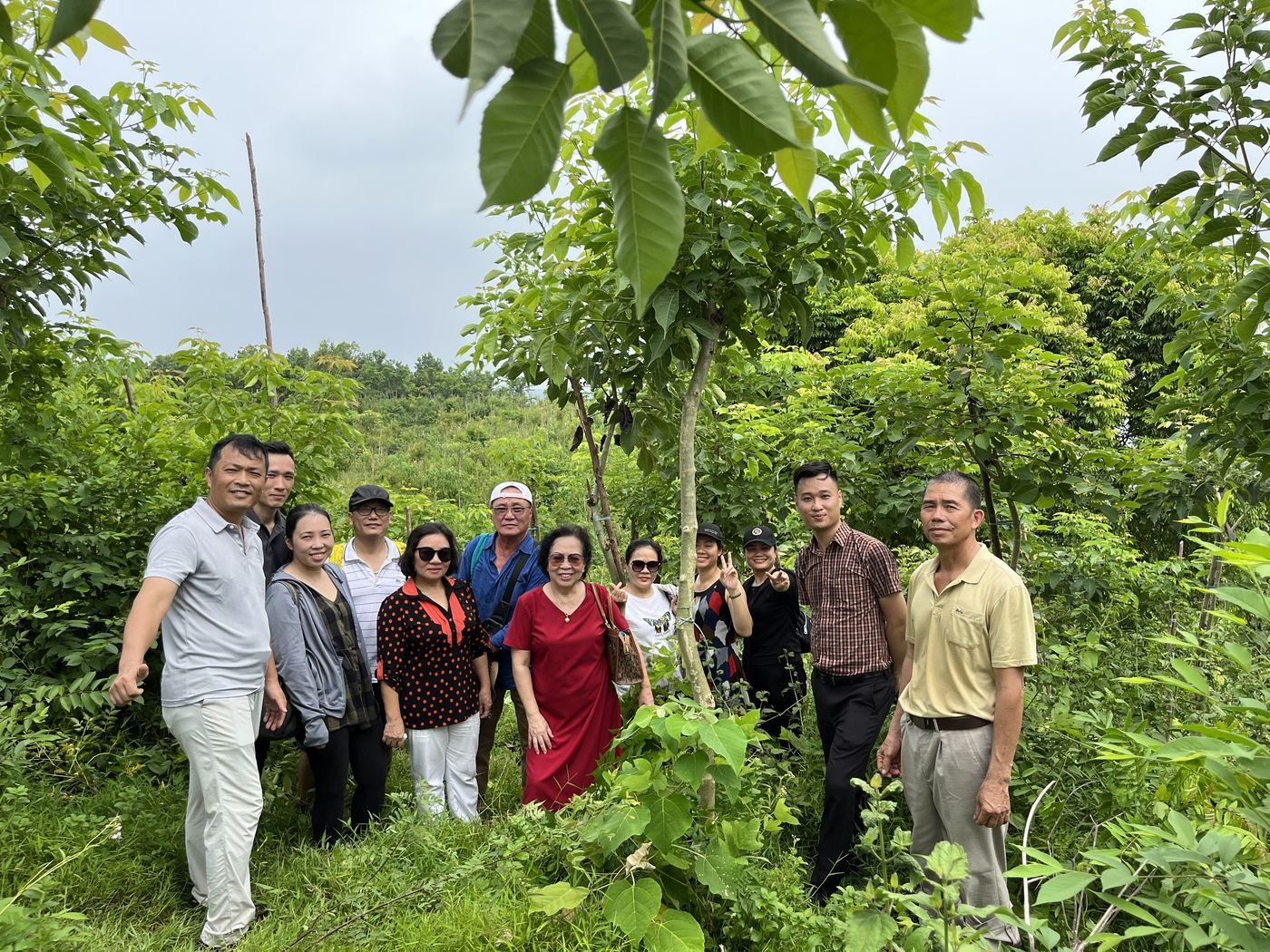 Đoàn khách tham quan vùng trồng cây