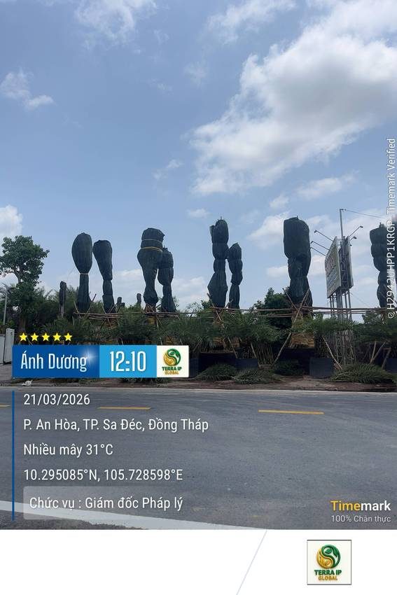 Vùng trồng Sa Đéc - cây chờ xuất vườn bọc gốc